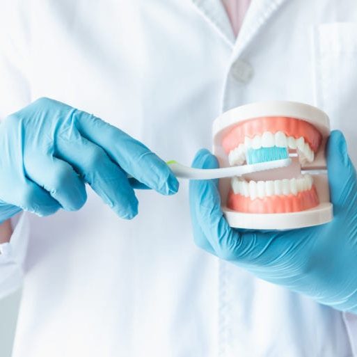 Close-Up of Dental Orthodontic Doctor is Demonstrating Instruction to Cleaning Teeth With Toothbrush on Jaw Model, Healthcare and Dentist Occupation concept.